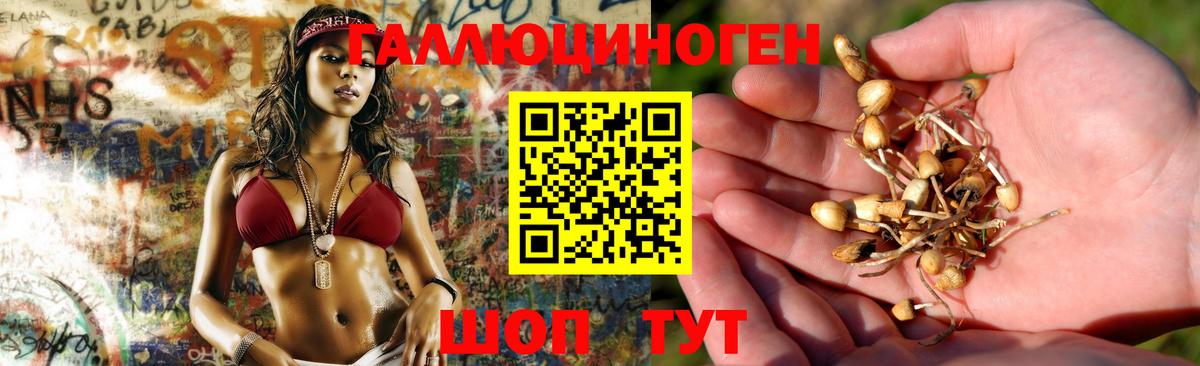 Галлюциногенные грибы ЛСД  Вход с VPN  Геленджик  Галлюциногенные грибы мухоморы 